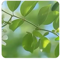 vue3